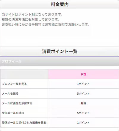 カタテマワークの消費ポイント一覧表と料金案内